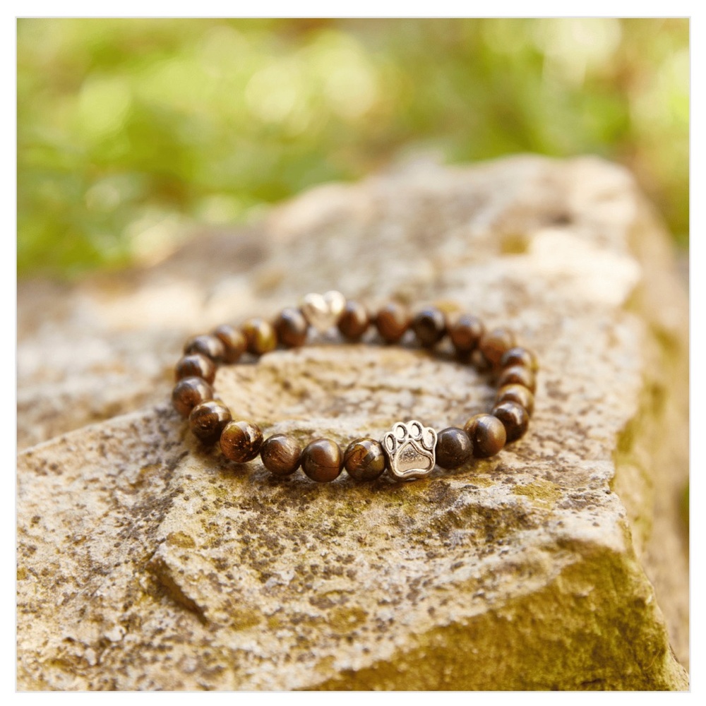 Cat Lady Box Pawfect Harmony Bracelet NIP